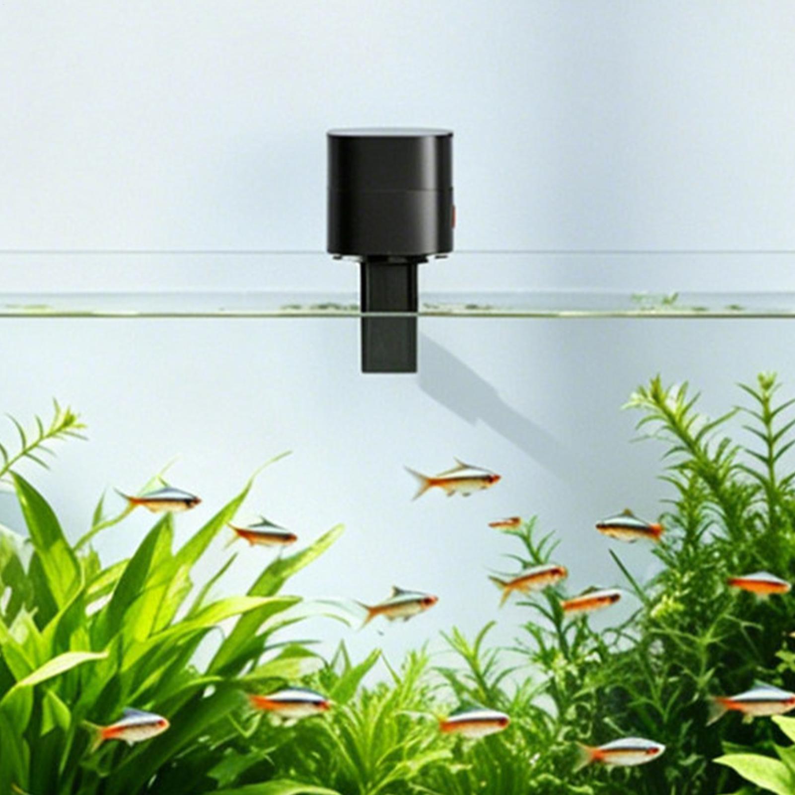 Alimentador automático de peix - Fishing Line Dispenser avaliação e preço